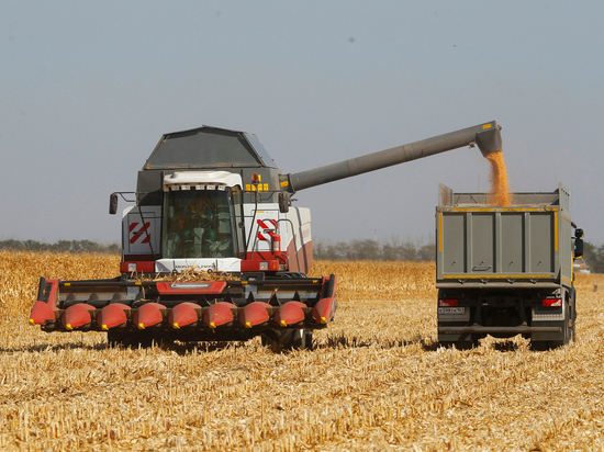 Пошлины на зерно перевели в рубли: поможет ли это крестьянам