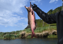 Право коренных народов Севера на рыбалку защитил Верховный суд