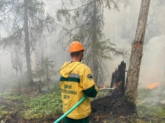 В Поморье произошли первые июльские лесные пожары
