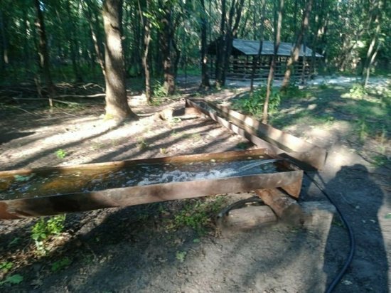 В курских лесах установили поилки для животных