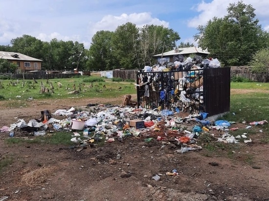 «Олерон+» объяснил свалку в Шерловой Горе отсутствием контейнерной площадки
