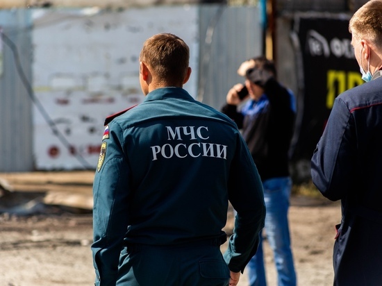 102 пожара ликвидировали спасатели за неделю в Новосибирской области