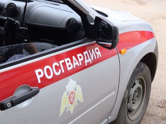 Росгвардейцы задержали читинца за маты и попытку ударить охранника в ТЦ