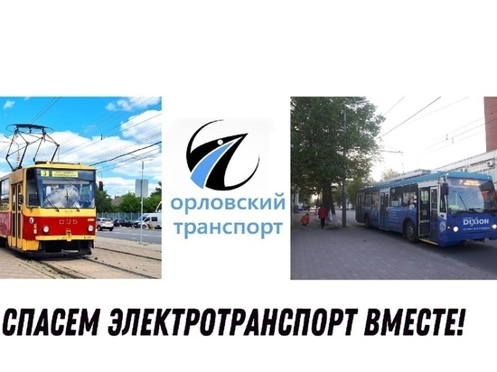 Орловчане борются за городской электротранспорт