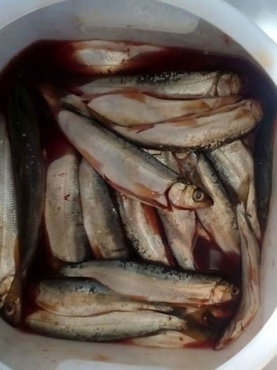 В Приангарье будут судить троих рыбаков, наловивших омуля на три миллиона