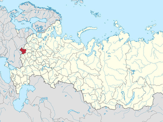 ВСУ обстреляли село Зерново в Брянской области