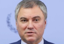 Спикер Госдумы России Вячеслав Володин заявил, что ВСУ делают все для того, чтобы Вооруженные силы (ВС) РФ не останавливались на границах Донецкой и Луганской народных республик (ДНР и ЛНР)