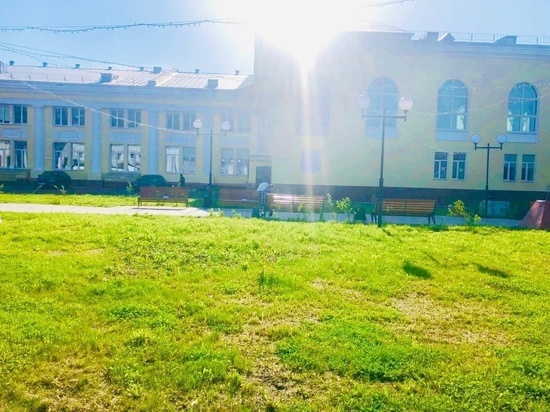 Кировчан приглашают создать «Клумбу счастья» в День семьи, любви и верности