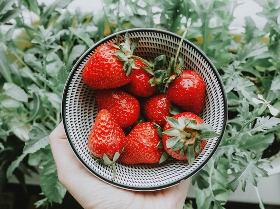 Не только для варенья: как можно заготовить клубнику и не потерять аромат и вкус свежей ягоды