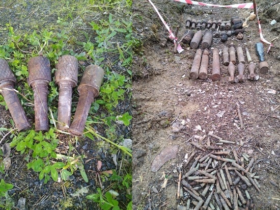 В Медвежьегорском районе Карелии саперы обнаружили два минных поля