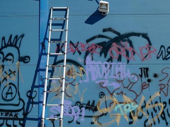 Полицейские поймали в Петрозаводске уличного "художника" с наркотиками