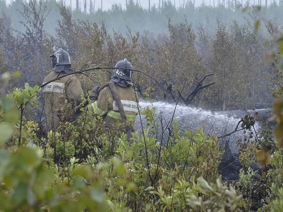 С 5 июля в Рязанской области установили особый противопожарный режим