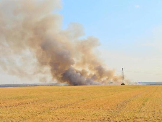 В ЛНР сгорели 13 гектаров пшеницы