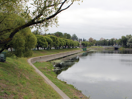 В Петербурге осудили женщину, выбросившую пакет с новорожденной дочерью в Ижору