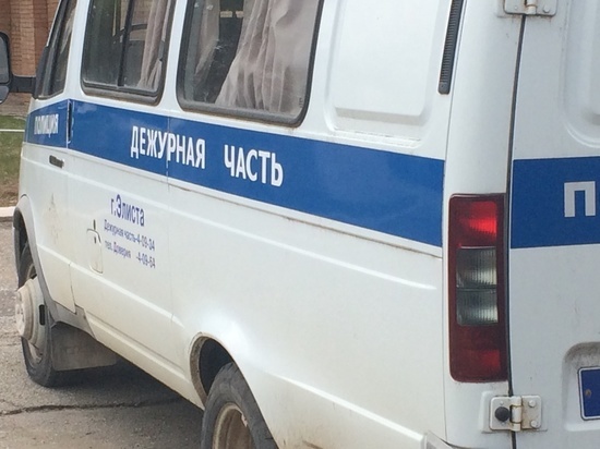  Калмыцкие полицейские задержали водителя  задавившего ребенка КамАза
