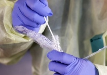 За последние сутки в Забайкалье выявили 15 новых случаев заражения коронавирусной инфекцией, 19 – вылечились