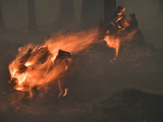 В Хабаровском крае ввели режим ЧС из-за природных пожаров