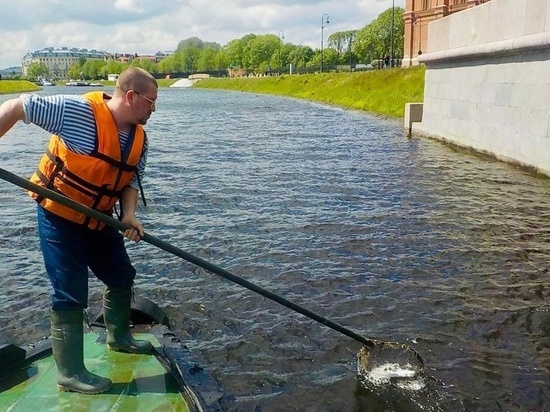 В Петербурге более 300 водоемов очистили от наплавного мусора в июне