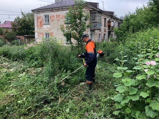 В Октябрьском округе Омска показательно скосили коноплю