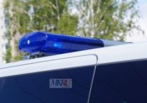 Больше всего по данным полицейских, водителей и пассажиров гибнет в ДТП

на трассе Берёзовка – Канск и Красноярск – Енисейск
