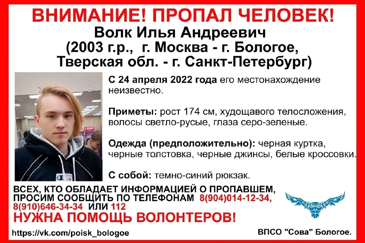 Илья Волк пропал в Тверской области по пути из Москвы в Петербург - МК Тверь