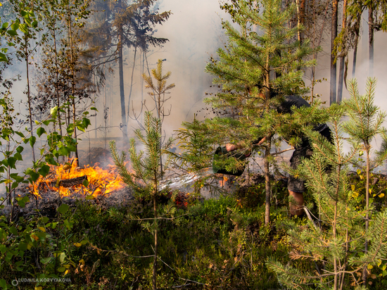 18 пожаров потушили с начала недели в лесах Карелии