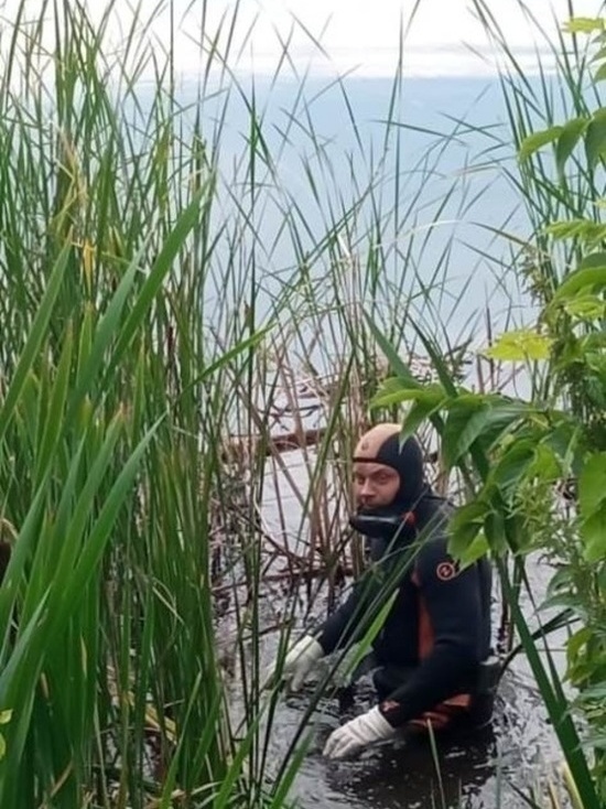В Курской области в деревенском пруду утонул мужчина