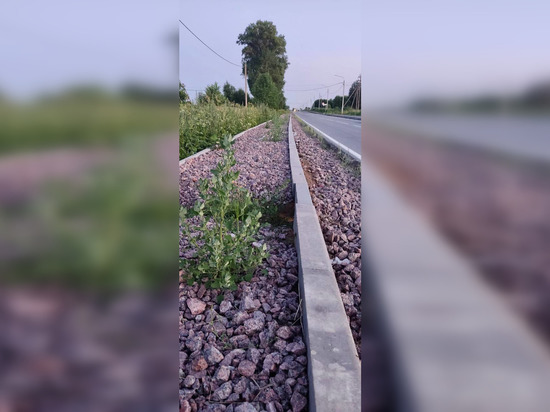 Дорожники отремонтируют тротуары в Бородулино