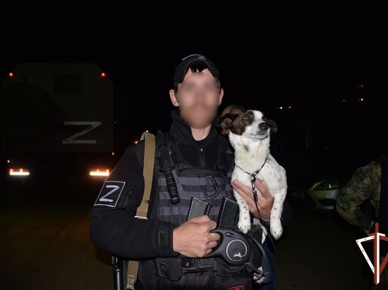 Свердловчанин спас и привез домой собаку, оставленную ВСУ во время спецоперации на Украине