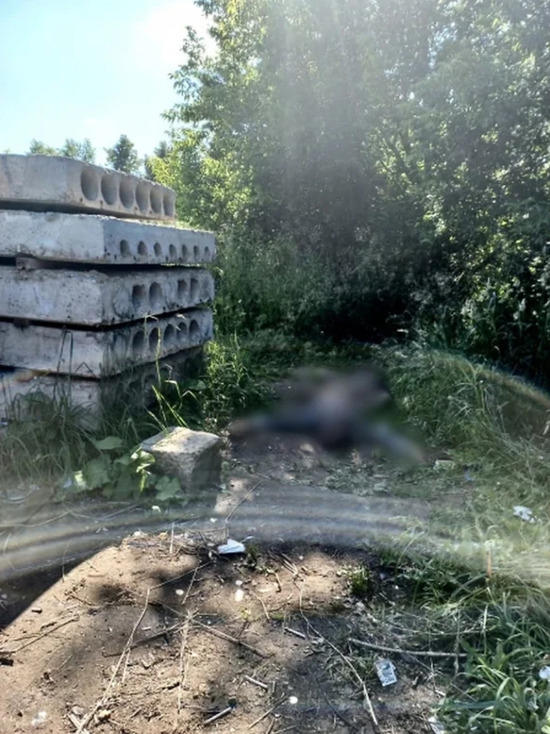 17-летнего жителя Можги подозревают в убийстве собутыльника