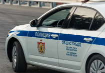Управление МВД по Рязанской области прокомментировало инцидент со сбитым в Сараях полицейским восьмилетним велосипедистом