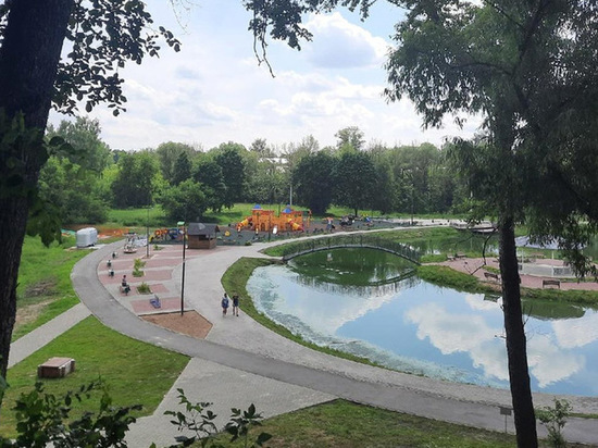 Александровский парк благоустраивали с нарушениями