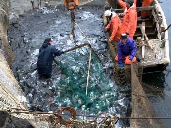 Губернатор поздравил жителей Сахалинской области с Днем рыбака