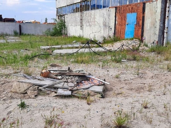 В пригороде Надыма 13 гектаров земли очистили от мусора