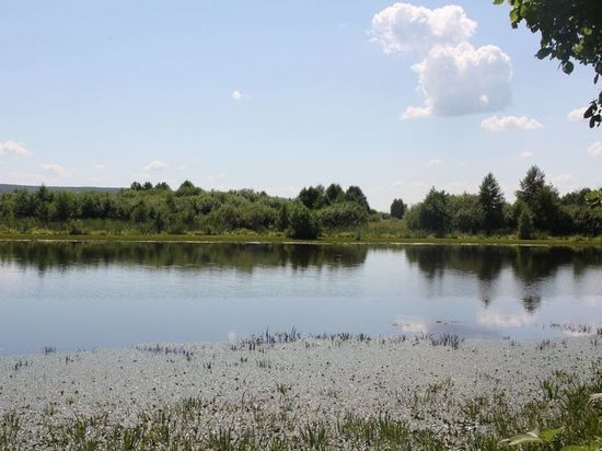 На турбазе в Пензенской области мужчина вошел в воду и не вернулся