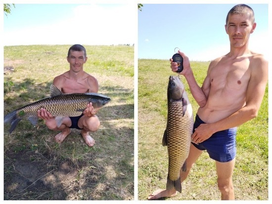 Огромного белого амура выловил рыбак в Новосибирском водохранилище