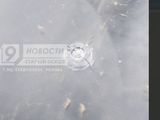 В Старом Осколе из окна многоквартирного дома открыли стрельбу по шумной компании