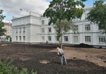 Земляные работы, которые ведутся во дворе правительства Карелии на пр.Ленина, 19, вызвали вопросы у некоторых горожан: что здесь планируют сделать?