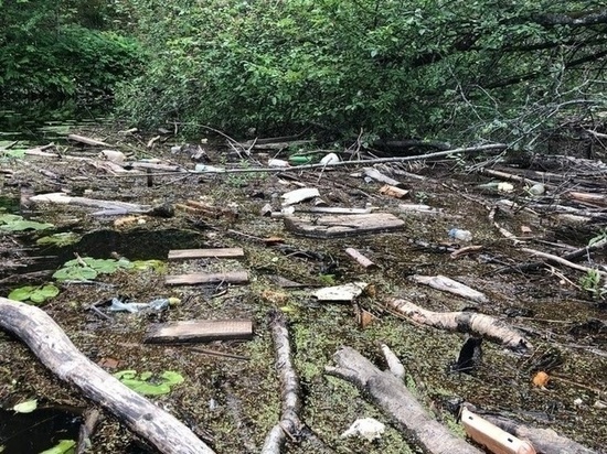 Волонтеры вытащили из реки Коваш почти 700 кг мусора