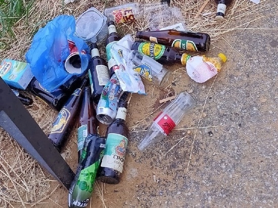 На детской площадке на Вишнёвой аллее в Рязани засняли скопление мусора