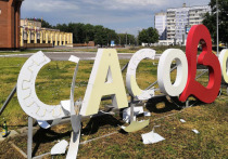 Полицейские задержали сломавшего арт-объект «Сасово-95» рязанца