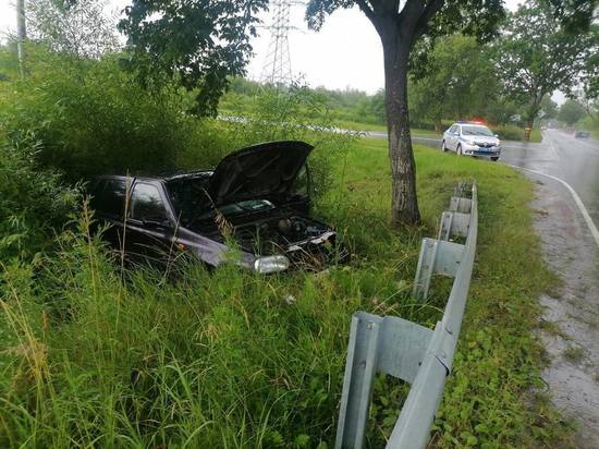 Калининградец на Volkswagen врезался в дерево