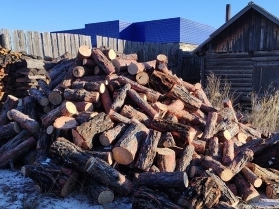 Гурулёв о ценах на дрова: никто себе в убыток работать не хочет