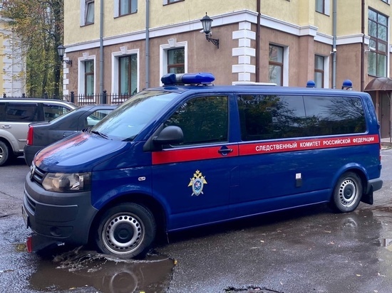 Экс-чиновница из Великого Новгорода отделалась условным сроком за взяточничество