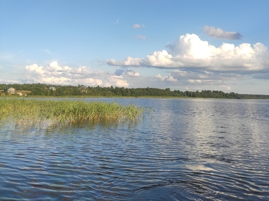 Жители Вологодской области заплатят более 600 тысяч рублей за ловлю сетями на Белом озере