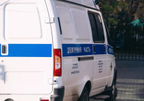 В Спасском районе 18-летний парень украл из магазина энергетики и мороженое