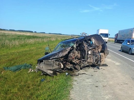 В Омской области в аварии с большегрузом погиб мужчина