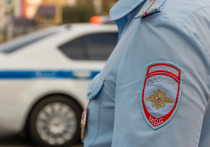 Рязанского индивидуального предпринимателя осудят за попытку дачи взятки в 50 тысяч рублей полицейскому