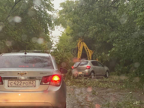 В Рязани ураган повалил десятки деревьев