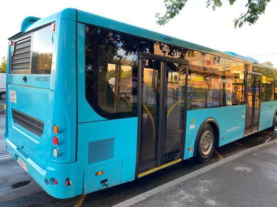 Новый автобус начнет курсировать из Шушар до метро «Московские ворота» с 15 июля
